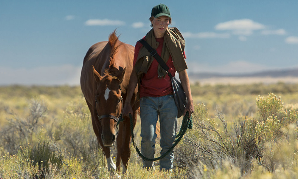 Video: Andrew Haigh's Lean on Pete - 2017 TIFF Post Screening Q&A ...